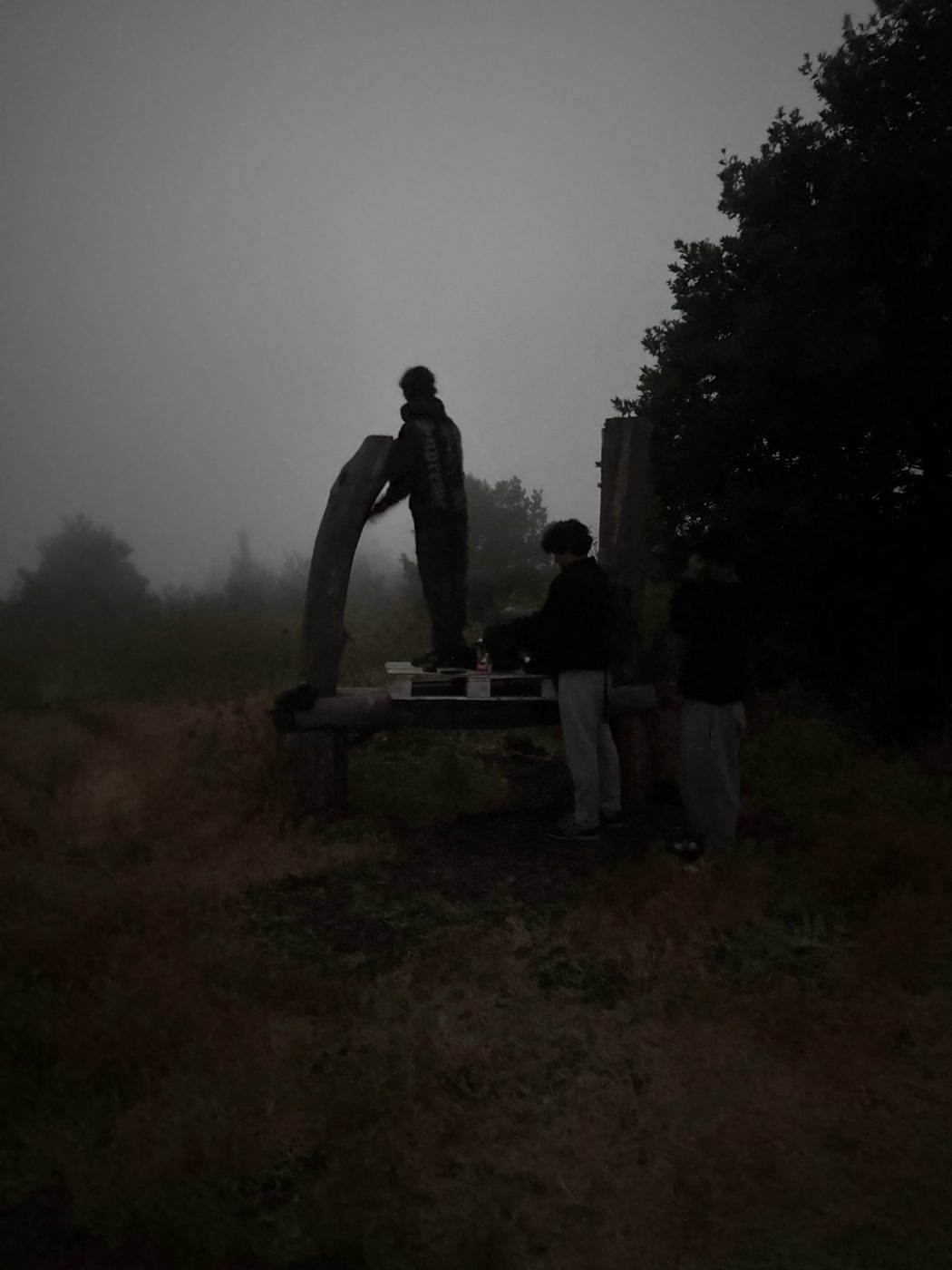 Friends in the fog at dusk