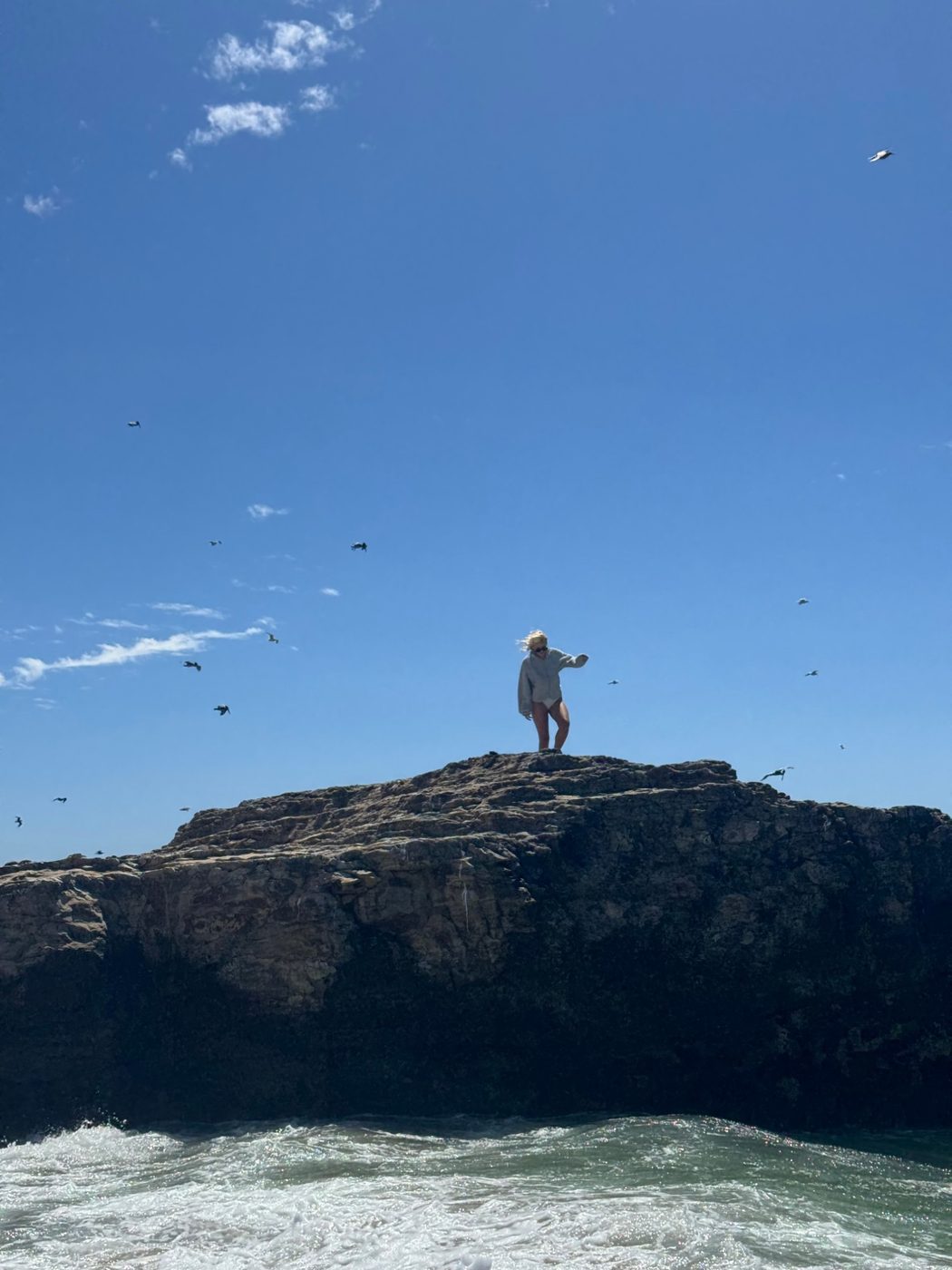 Someone on a sea rock with gulls overhead